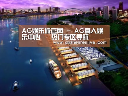 案例展示八