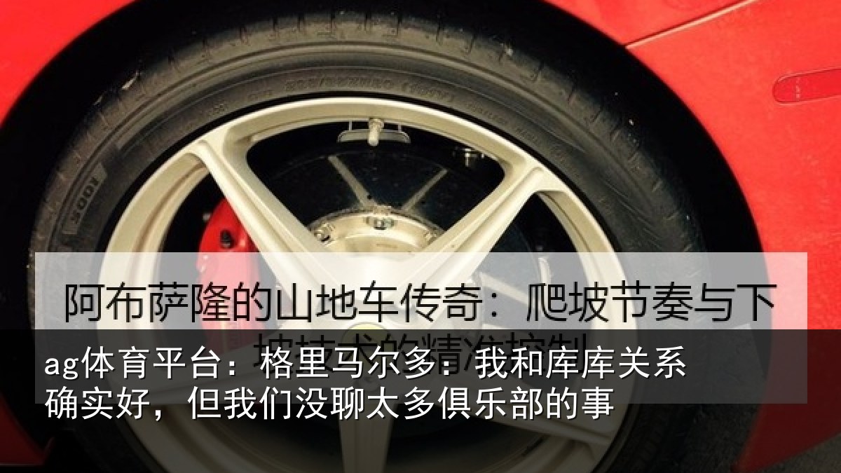 ag体育平台：格里马尔多：我和库库关系确实好，但我相关情况的事