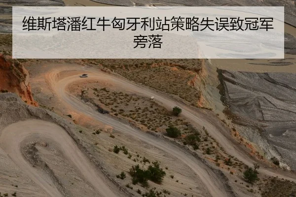 维斯塔潘红牛匈牙利站策略失误致冠军旁落