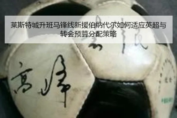 莱斯特城升班马锋线新援伯纳代尔如何适应英超与转会预算分配策略