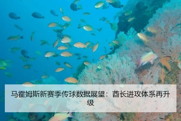 马霍姆斯新赛季传球数据展望：酋长进攻体系再升级