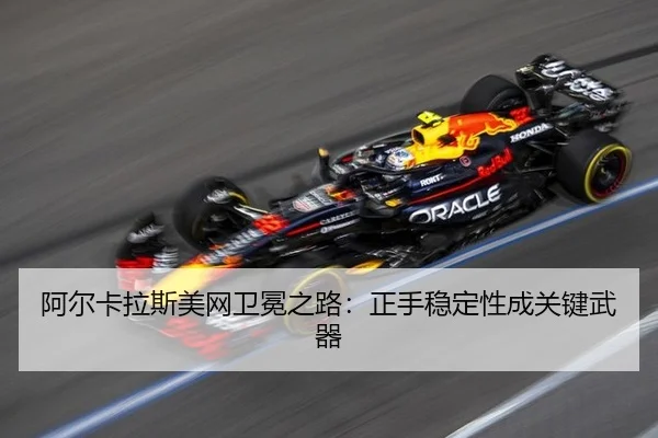 a-er-ka-la-si-mei-wang-wei-mian-zhi-lu-zheng-shou-wen-ding-xing-cheng-guan-jian-wu-qi-2-729.jpg