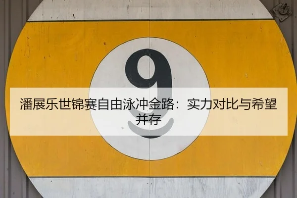 pan-zhan-le-shi-jin-sai-zi-you-yong-chong-jin-lu-shi-li-dui-bi-yu-xi-wang-bing-cun-3-424.jpg
