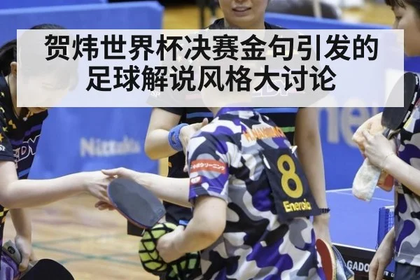 贺炜世界杯决赛金句引发的足球解说风格大讨论